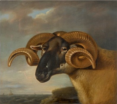 Head Of A Black Faced Ram, , Thomas Weaver