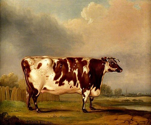 'Wildair', 1827, Thomas Weaver