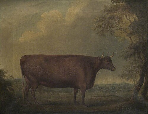 Red Devon Heifers in Landscape, 1812, Thomas Weaver
