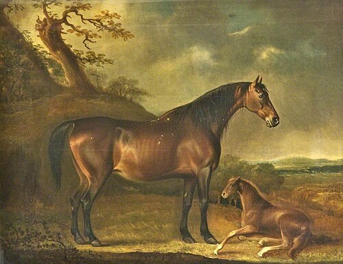 Favourite Mare, 1814, Thomas Weaver