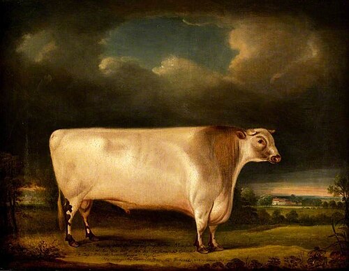 'Comet', 1817, Thomas Weaver