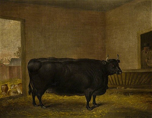 A Prize Bull: A Fat Kerry Cow, 1819, Thomas Weaver