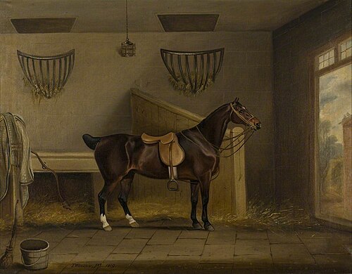 A Saddled Bay Hunter in a Stable, 1819, Thomas Weaver