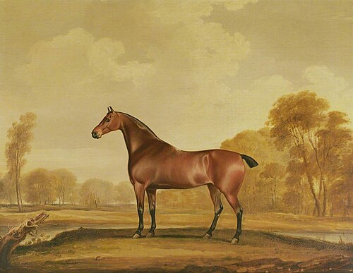 The Horse 'Zillah', 1819, Thomas Weaver