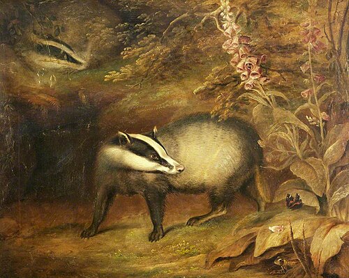 Badgers, 1823, Thomas Weaver