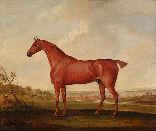 Study of a Horse, 1828, Thomas Weaver