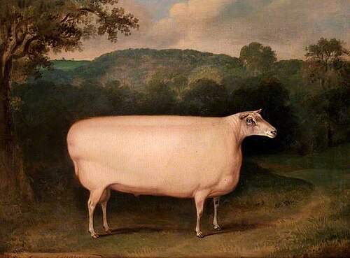 A Four Shear Ram, 1831, Thomas Weaver