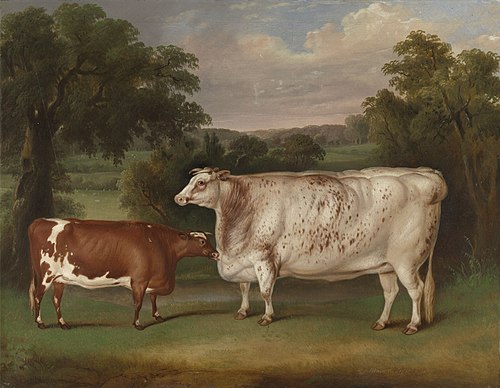 Prize Cattle in a Landscape, 1833, Thomas Weaver