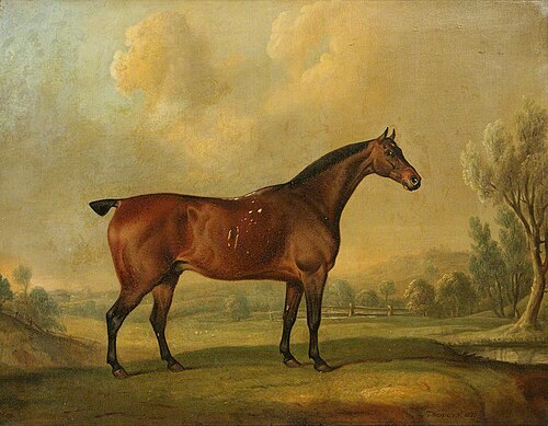A Chestnut Stallion in Landscape, 1829, Thomas Weaver