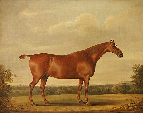 A Bay Stallion in a Landscape, 1829, Thomas Weaver
