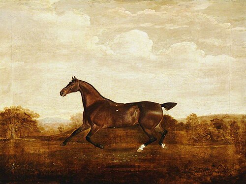 A Bay Hunter called 'Scaramouche', 1819, Thomas Weaver