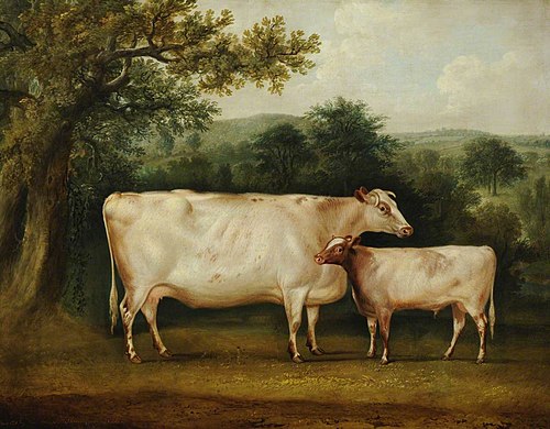 A Prize Cow and Calf in a Rural Wooded Landscape, 1824, Thomas Weaver