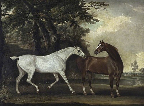 'Snowdrop', a Grey  and 'Nimble', a Bay, 1811, Thomas Weaver