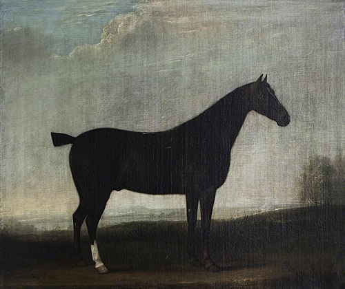 A Brown Horse in a Landscape, 1808, Thomas Weaver