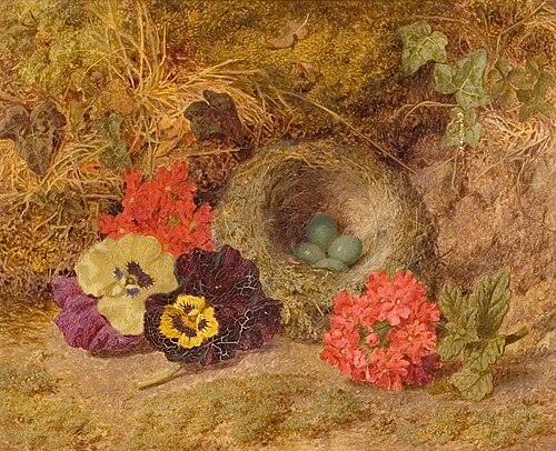 A Bird's Nest, Pansies and Verbena, , Thomas Worsey
