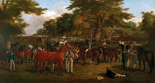 Suffolk Show in Christchurch Park, 1869, John Duval