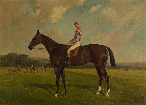 'Friday' with Jockey on a Racecourse, 1883, John Duval