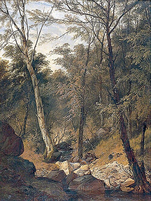 Study of Trees, , Frederick Ladbrooke