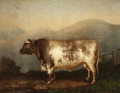 The Horncliffe Bull, 1873, Frederick William Roscoe