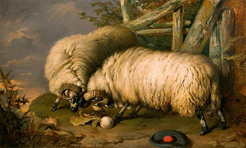 Highland Rams Fighting, 1850, John Frederick Pasmore