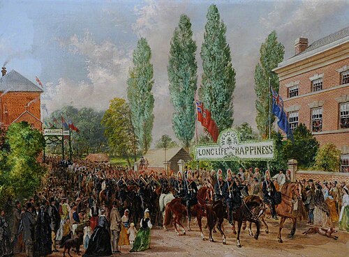 Entrance of the Procession into Melbourne on the 10th May 1876, 1876, John Gelder