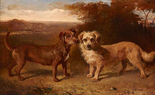 Companions, , John Glass