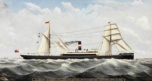 SS 'Cogent' of Sunderland, 1884, John Hudson
