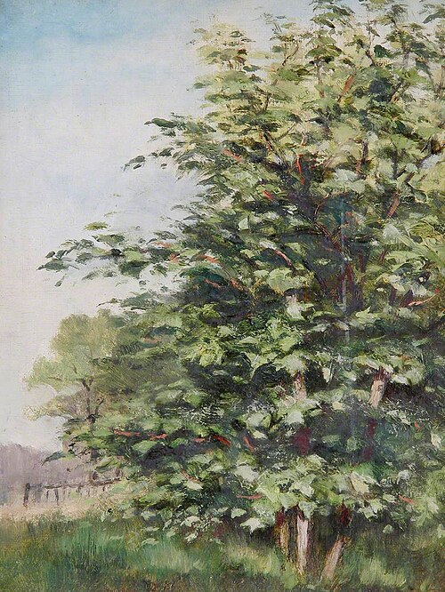 Trees in a Meadow, , Catherine Maude Nichols