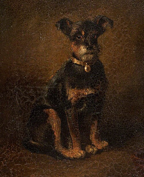 'Fido', 1856, John Irvine