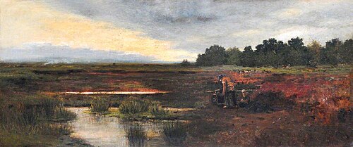 Peat Moss, 1900, John Leslie Thomson