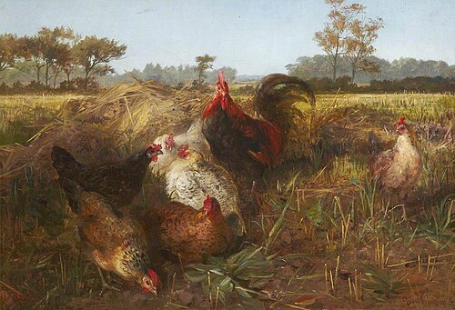 Fowls in the Stubble, 1856, George Arthur Hickin