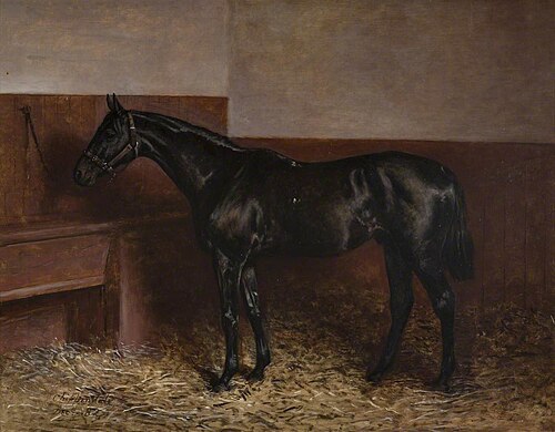 'Chippendale' in a Loose Box, 1882, Charles Augustus Henry Lutyens