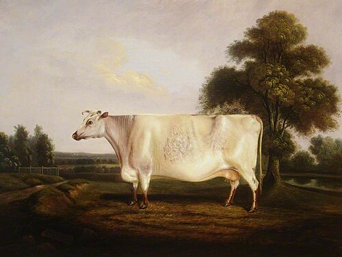 'Lavinia', , George Bailey