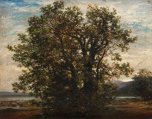 Landscape, , John Milne Donald