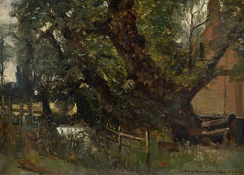 The Wych Elm, 1897, John Muirhead