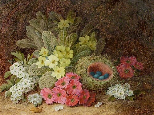 Still Life with Flowers and a Bird's Nest, , Vincent Clare