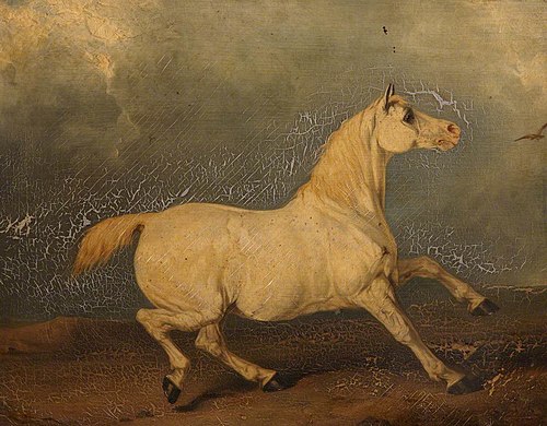 'Lily', Portrait of a Grey Horse, 1826, Charles Hancock