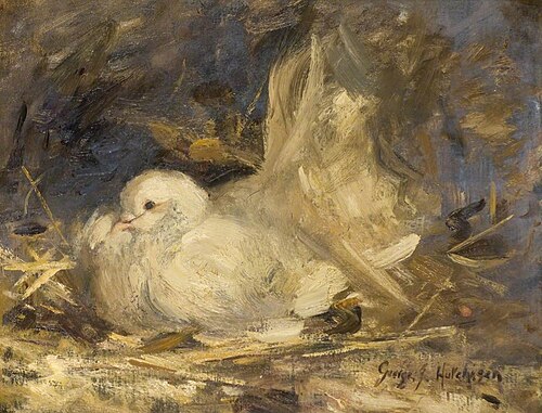 The Brooding Dove, 1914, George Jackson Hutchison