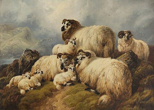 Sheep, 1884, Charles John Watson
