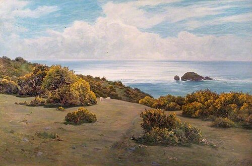 Baggy Point, Devon (Landscape, Sark), , Peregrine M. Feeney