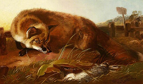 Fox, , Walter Harrowing