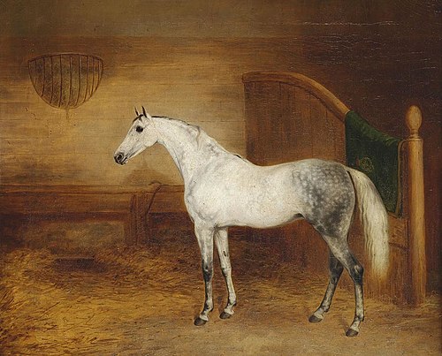 A Grey Horse, 1836, George Morley