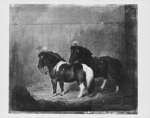 "Tommy" and "Jemmy", , George Morley