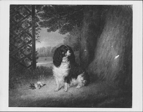 "Dash", 1841, George Morley