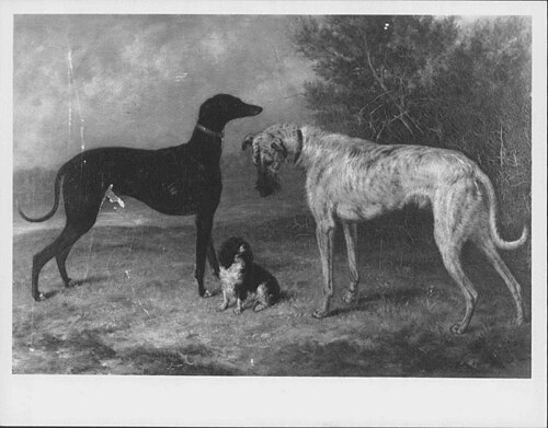 "Nero", "Dash" and "Hector", 1837, George Morley