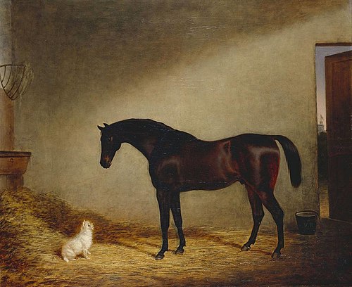 Tartar with Scotty, 1839, George Morley