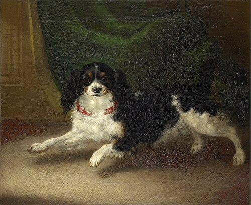 Dash, 1834, George Morley