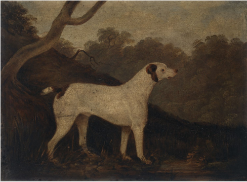 A Dog, 1899, George Nairn