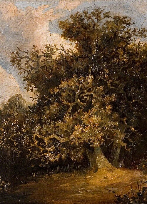 Oak Tree (after John Crome), , Walter Scott