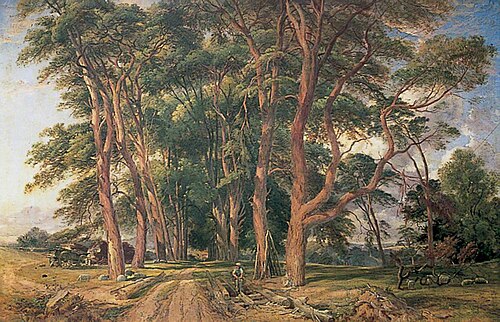 Avenue of Fir Trees at Shoesmith's Farm, Wadhurst, East Sussex, , Charles Tattershall Dodd